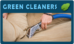 Professional Furniture Cleaning